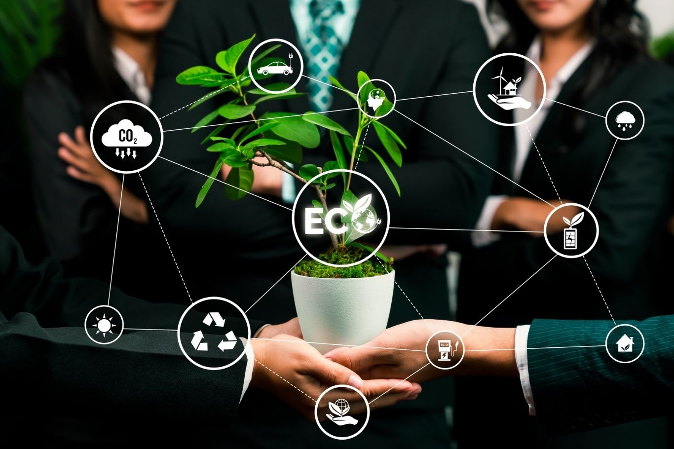 la sostenibilidad como motor del desarrollo empresarial